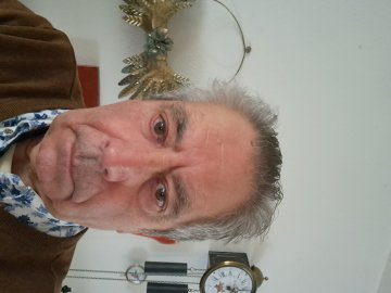 HOUTDUIF123 uit Limburg,Nederland